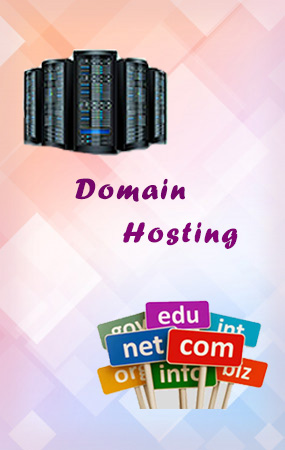 domain hosting singaperumalkoil